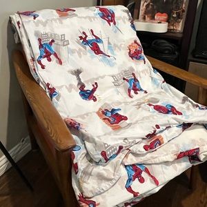 Pottery Barn Kids Spider-Man Full/Queen Organic Cotton Duvet Cover